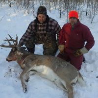 2013 Whitetail