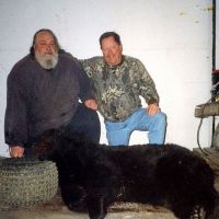 Bear