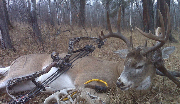 Bow Hunting